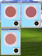 POWDER BLUSH
