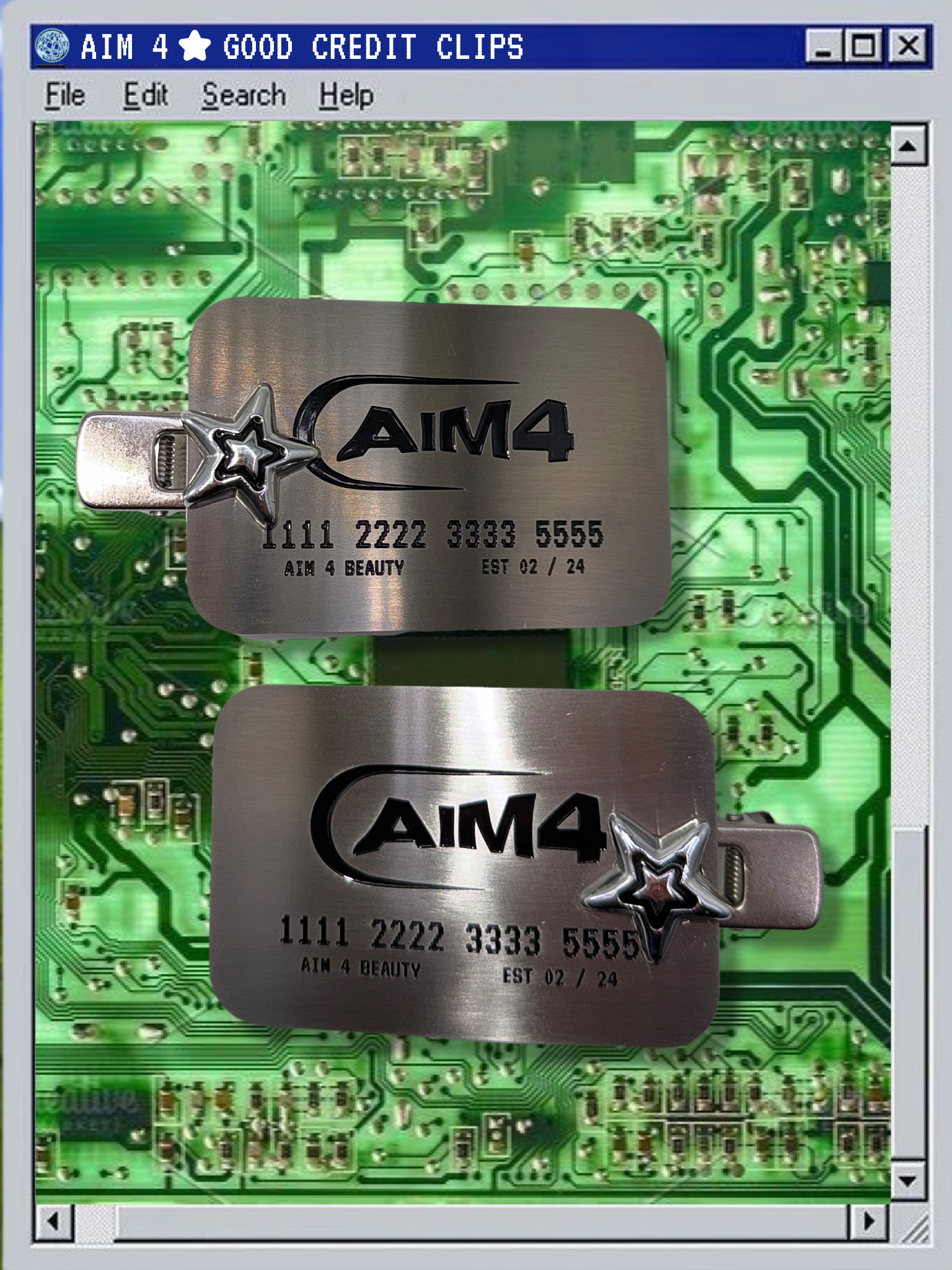 AIM 4 GOOD CREDIT CLIPS