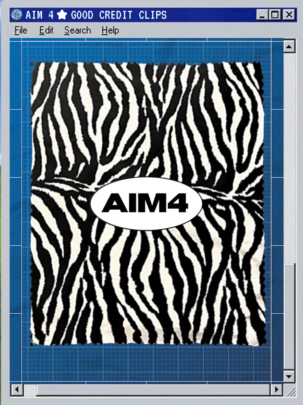 AIM 4 GOOD CREDIT CLIPS