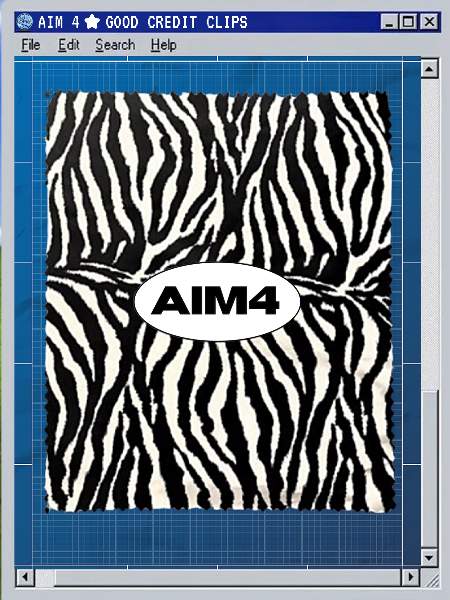 AIM 4 GOOD CREDIT CLIPS